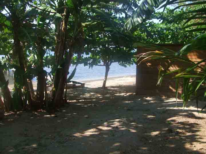 Path to the beach